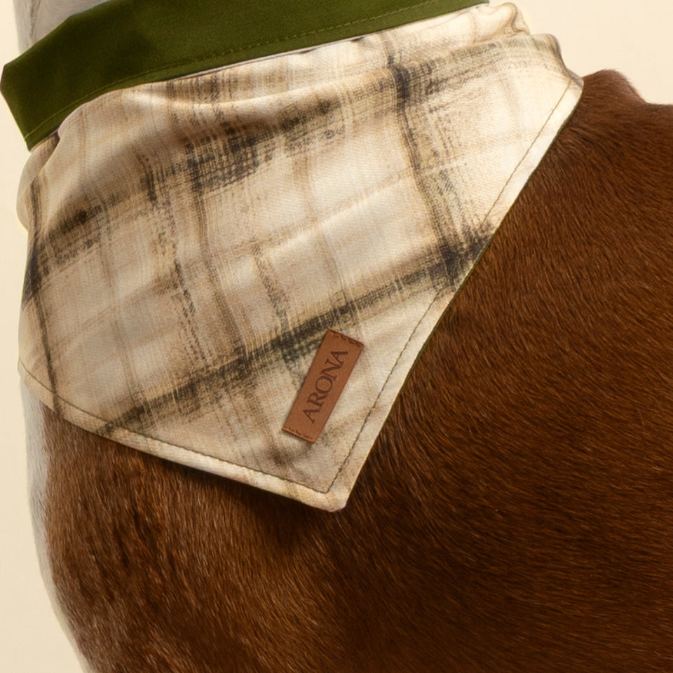 BANDANA OLIVO