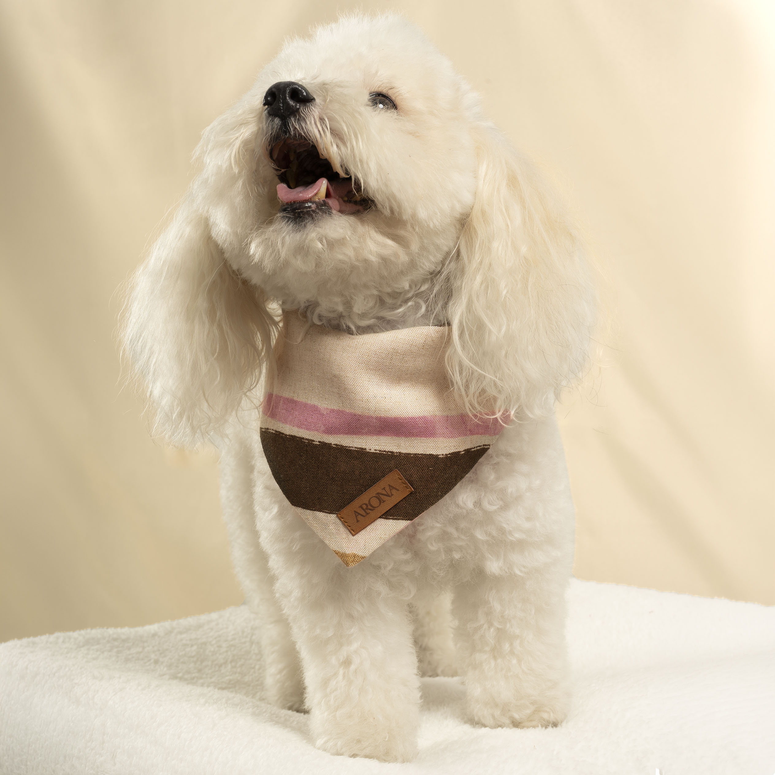 BANDANA MOCCA