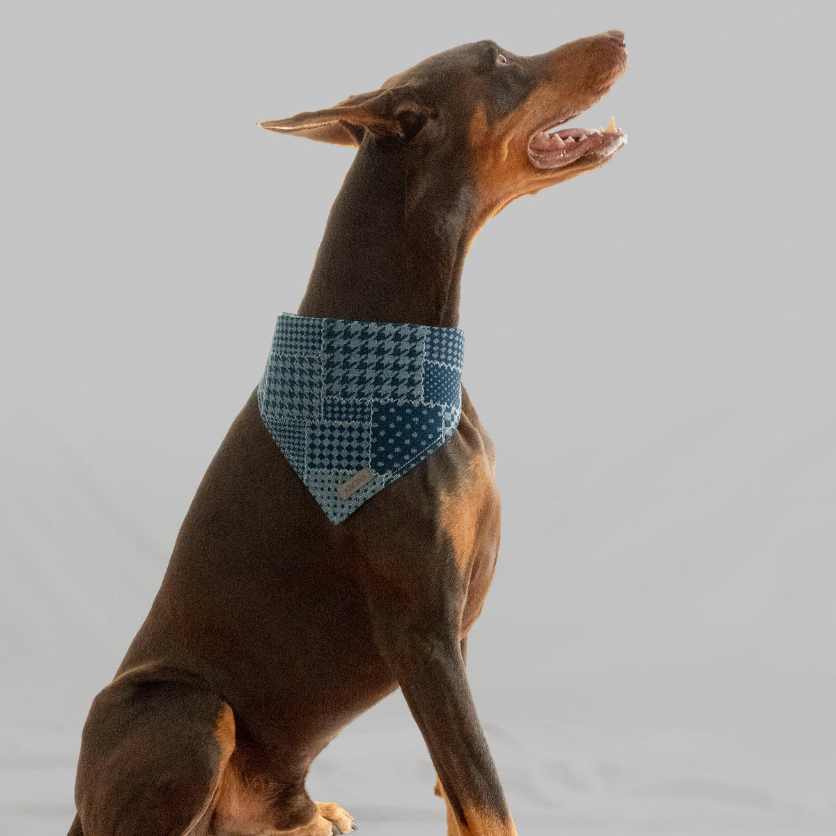 BANDANA DENIM