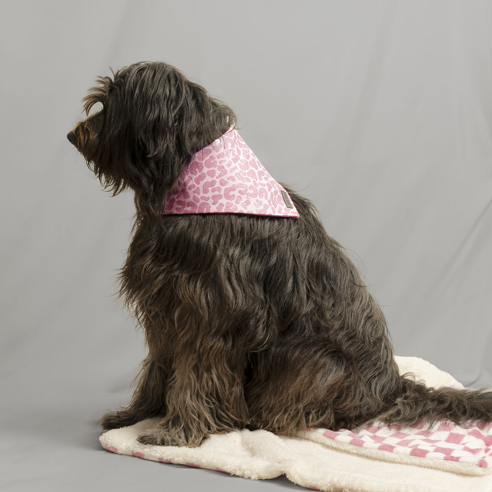 BANDANA GLAM LEO