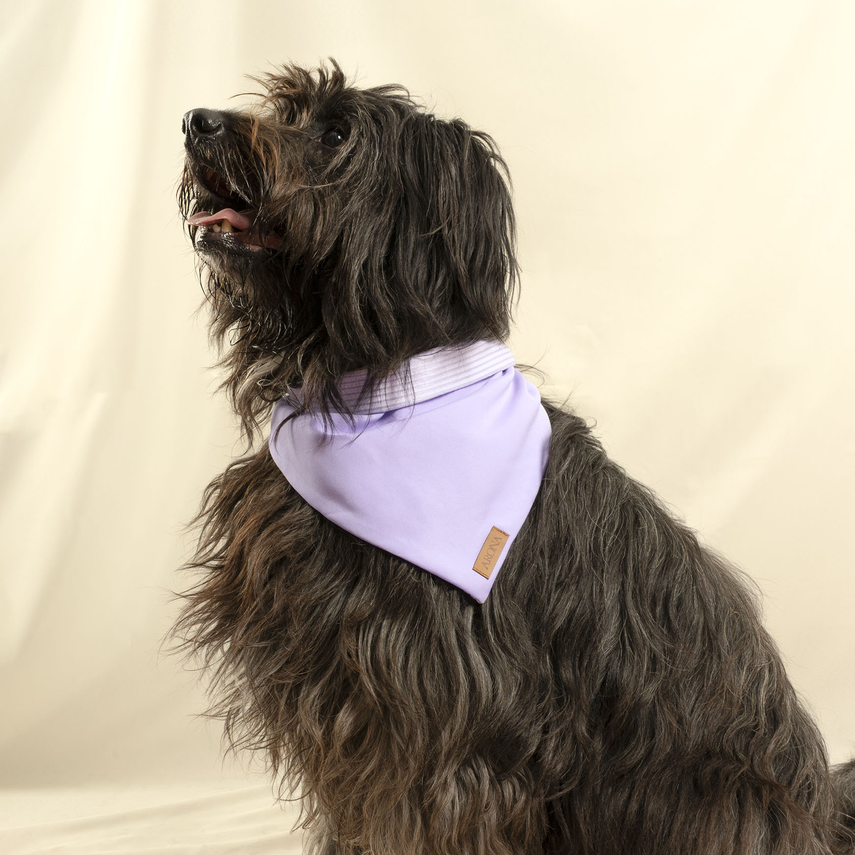 BANDANA ALMA