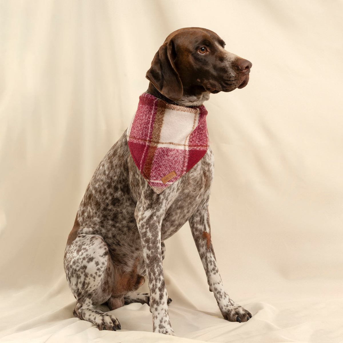 BANDANA ESENCIA