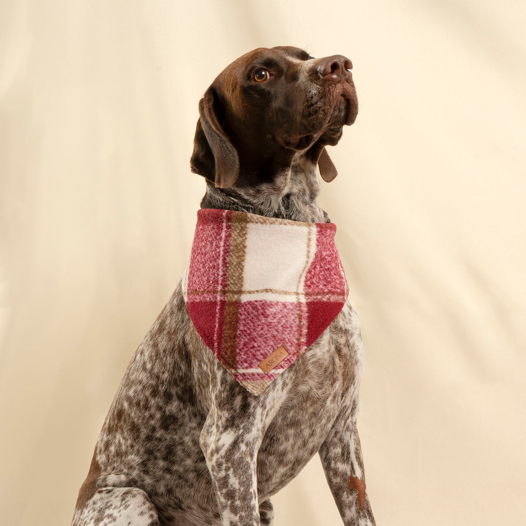 BANDANA ESENCIA