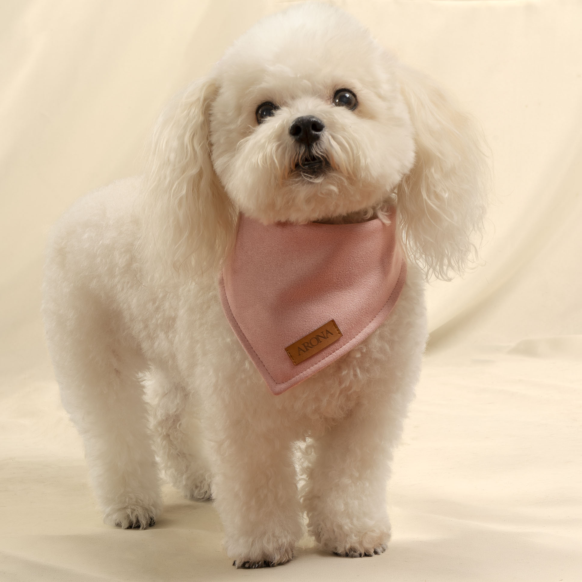 BANDANA BRISA