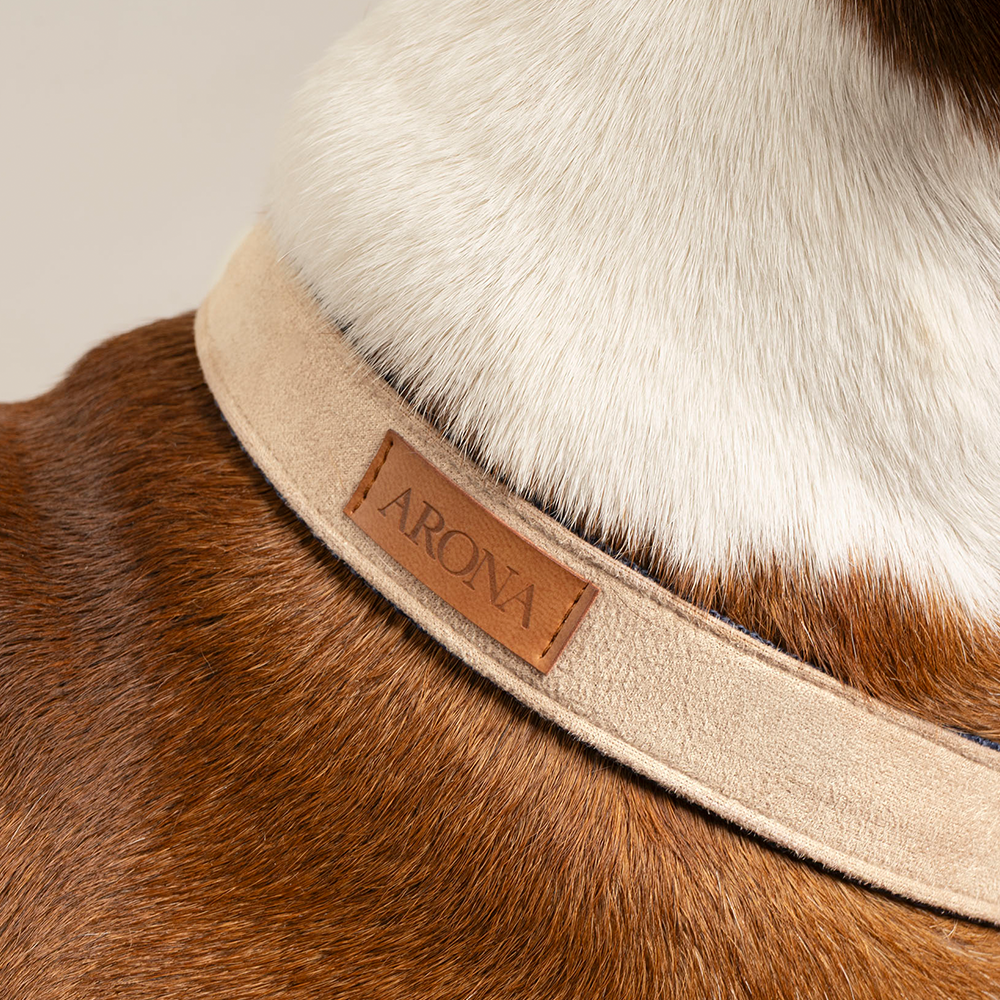 Collares