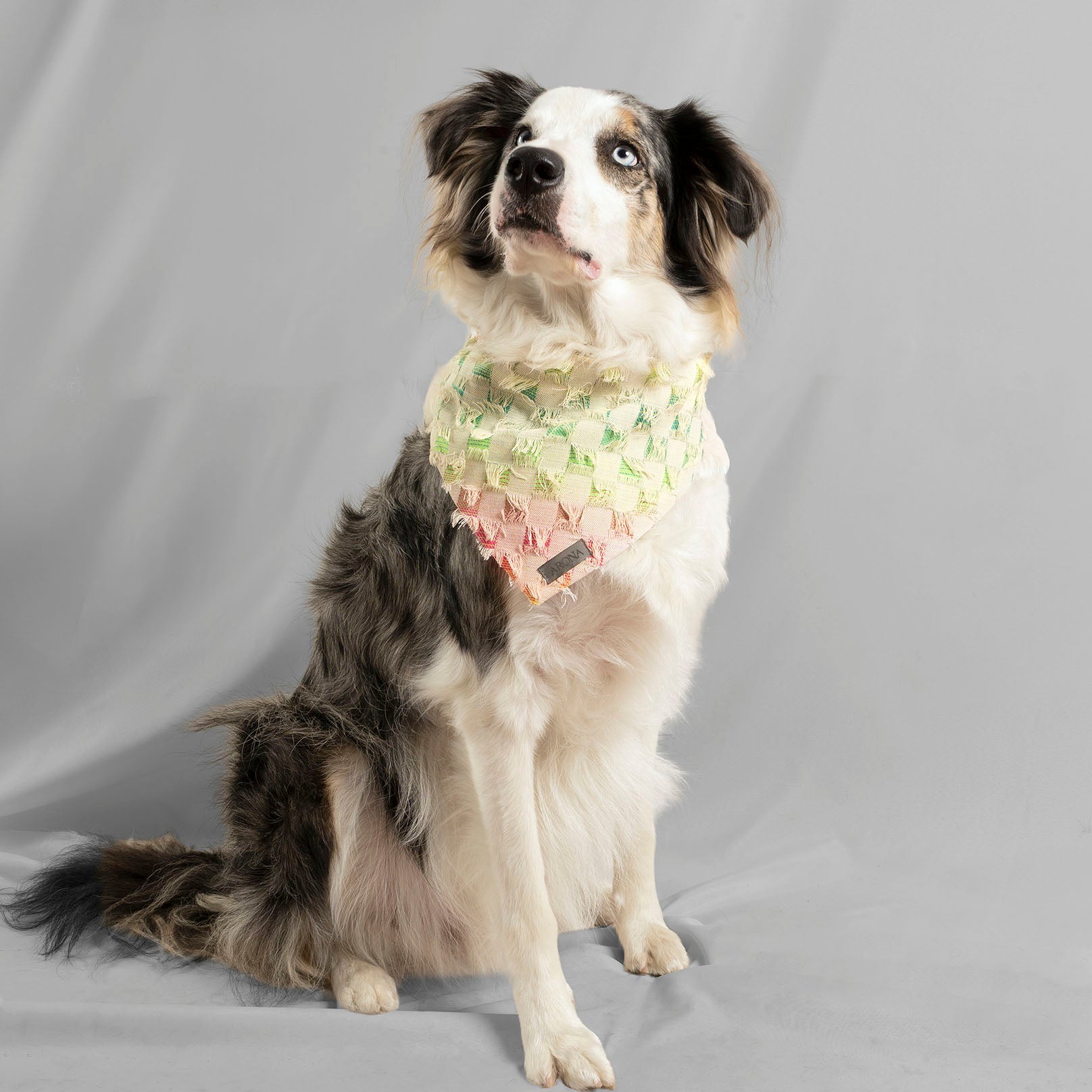 BANDANA BOHO FRI